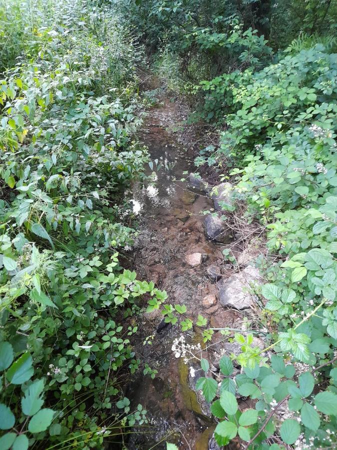 Вилла Peace Creek Слуни Экстерьер фото
